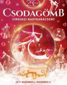 csodagomb2017
