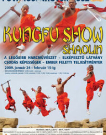 kungfu-show