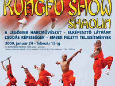 Shaolin Kungfu show 2009