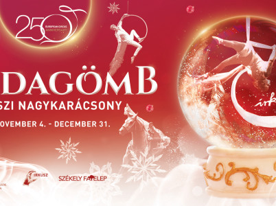 Csodagomb2017 képgaléria