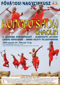 Kungfu-show