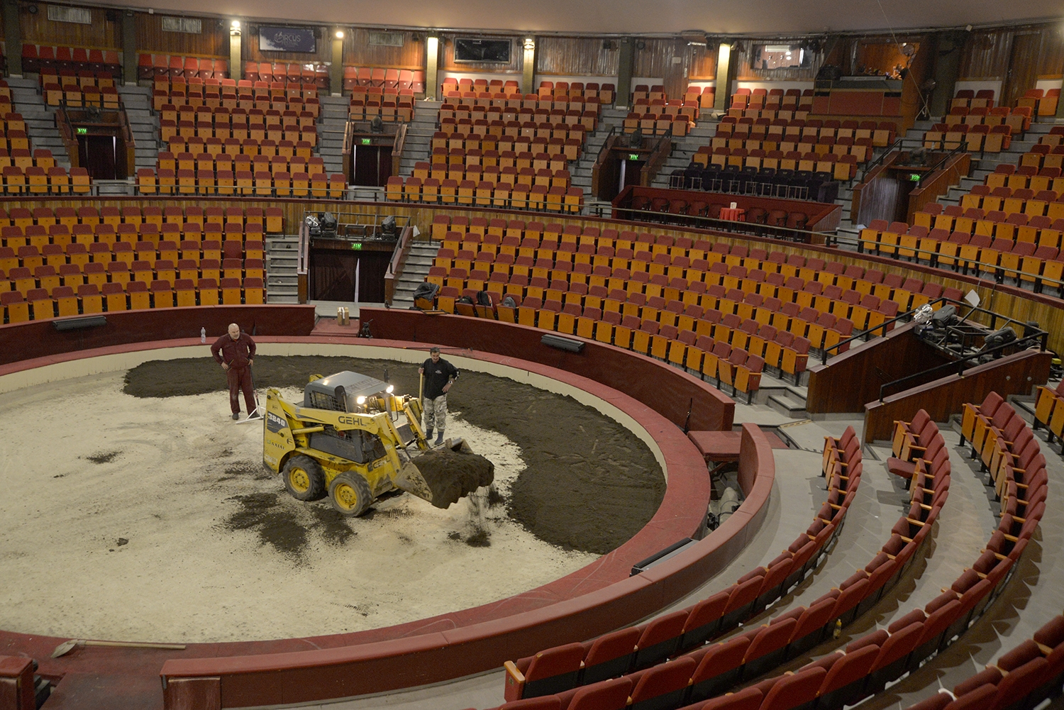 Föld a láthatáron - készülünk XII. Budapest Nemzetközi Cirkuszfesztivál lovas nyitó produkciójára!