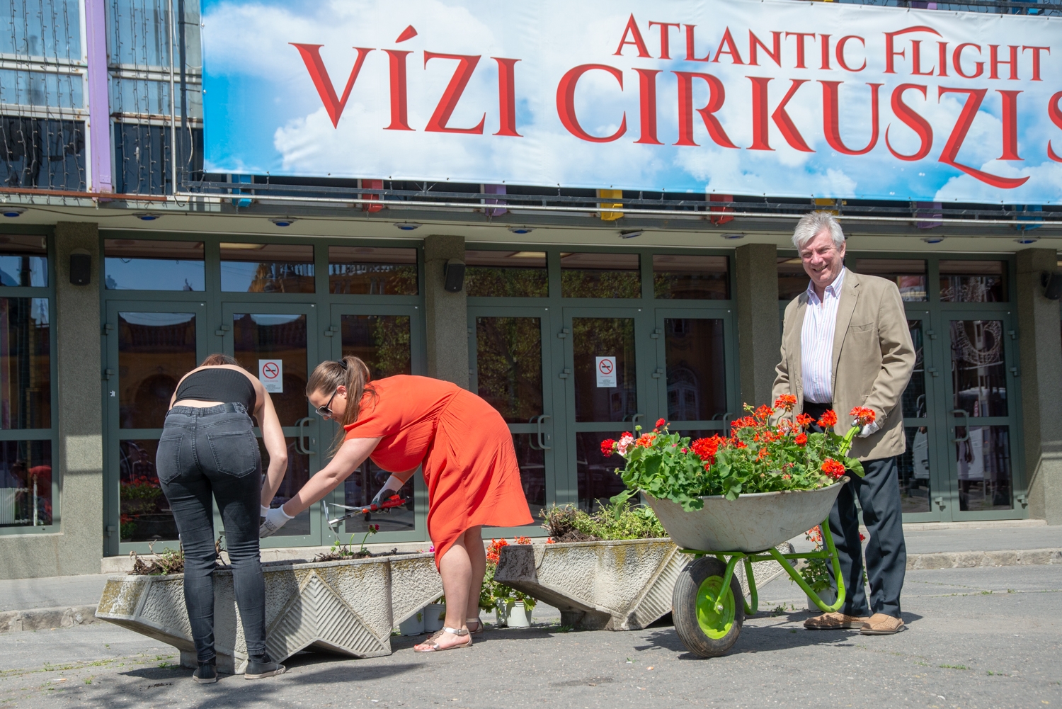 Virágba borult a Fővárosi Nagycirkusz előtti tér