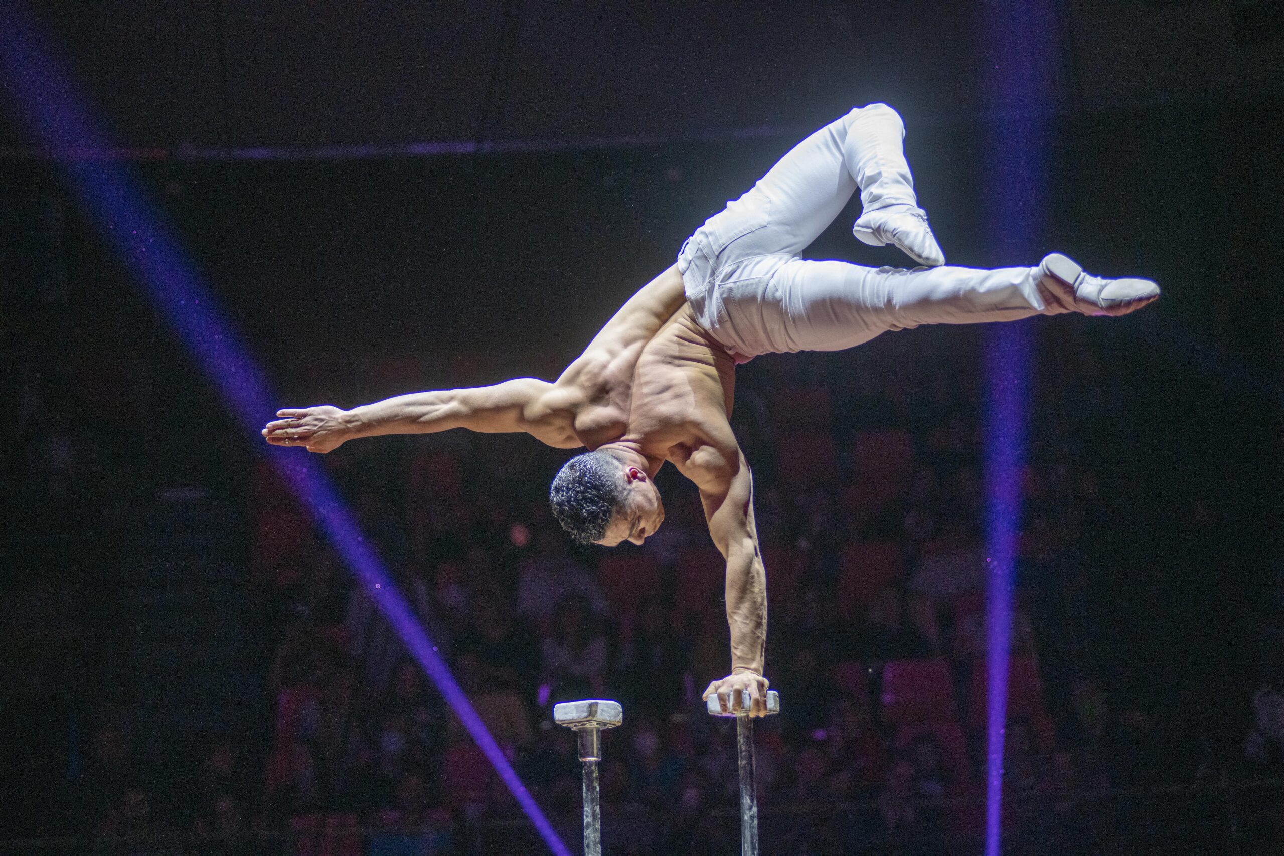Frenetikus hangulat uralkodott a 14. Budapest Nemzetközi Cirkuszfesztivál „B” versenyprogramján