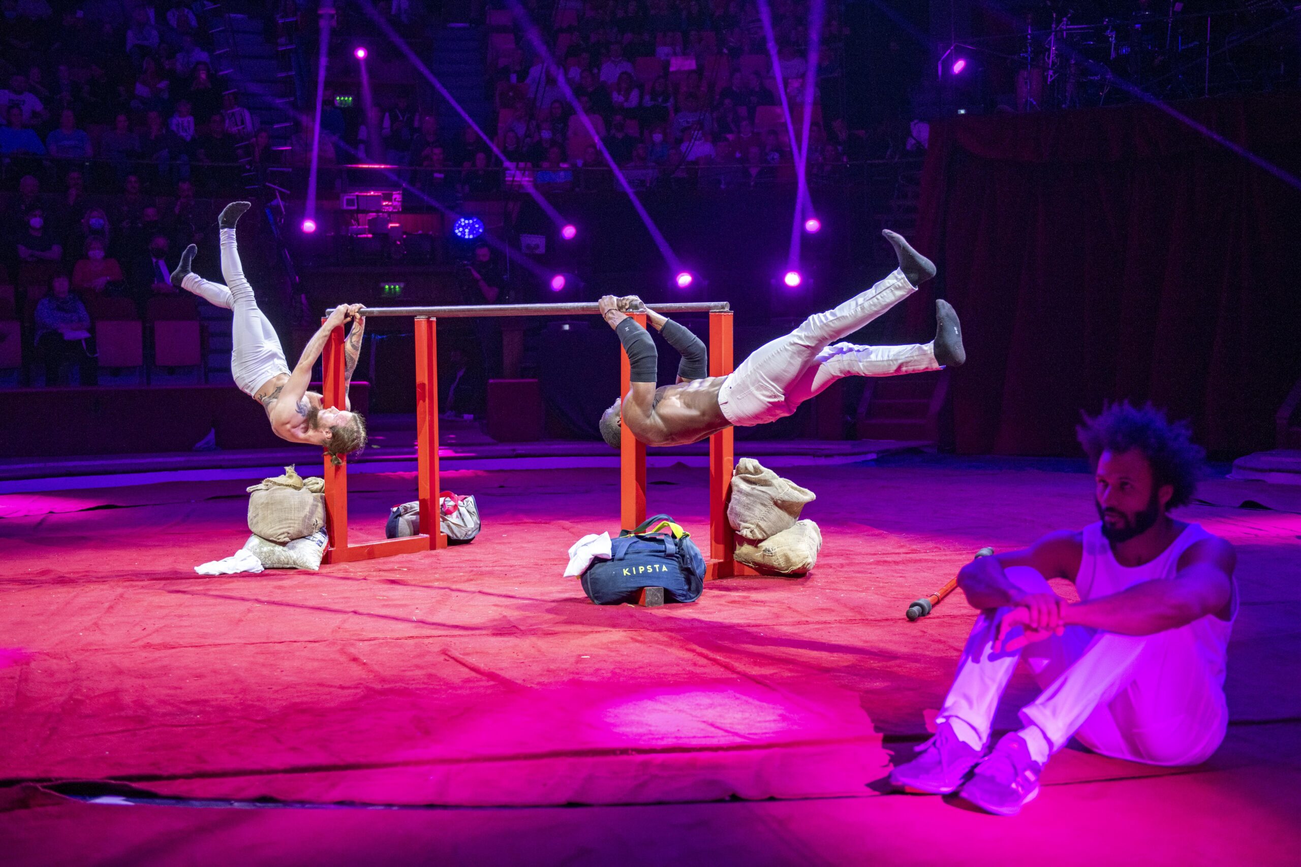 Franciaországban a Bartigerzz Group az első street workout csapat, akik olyan komplex produkciót hoztak létre, amit cirkuszokban, színházakban és tehetségkutató showműsorokban is be lehet mutatni. 
