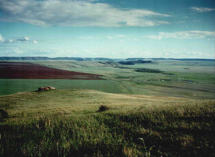 Nyugat-burját füvespuszta (felülről, a szent hegyről nézve), 2000 nyara, Sántha István felvétele