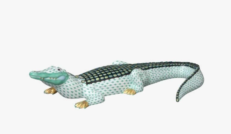 alligator